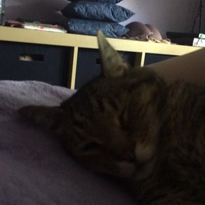 Meet your Posher, Jenna